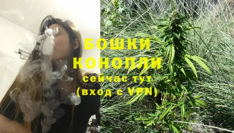 Бошки марихуана LSD WEED  дарнет шоп  Кашин 